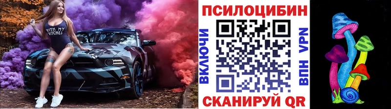 где найти   Севск  Псилоцибиновые грибы Magic Shrooms 